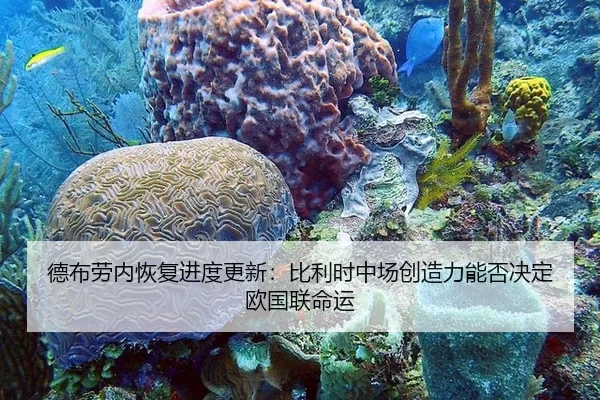 de-bu-lao-nei-hui-fu-jin-du-geng-xin-bi-li-shi-zhong-chang-chuang-zao-li-neng-fou-jue-ding-ou-guo-lian-ming-yun-2-604.jpg
